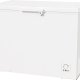 Gorenje FH302CW Congelatore a pozzo Libera installazione 303 L E Bianco 6