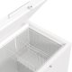 Gorenje FH302CW Congelatore a pozzo Libera installazione 303 L E Bianco 12