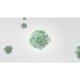 Electrolux Accessori Trattamento Aria EFDCAR6 21