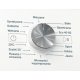 Whirlpool FFB 6238 W PL lavatrice Caricamento frontale 6 kg 1200 Giri/min Bianco 8