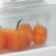 Ignis ARL 12GS1 monoporta Da incasso 189 L F Acciaio inox 3