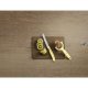 Victorinox SwissClassic Trend Colors 2 pz Set di coltelli 4