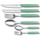 Victorinox 6.9036.0741 cucchiaio Cucchiaino Polipropilene, Acciaio inox Verde 1 pz 3