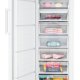 Beko FJFP1685W congelatore Congelatore verticale Libera installazione 282 L F Bianco 4