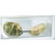 Whirlpool Frigorifero da Incasso SP40 800 1 4