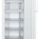 Liebherr GG 4010 Congelatore ad armadio 348 L Libera installazione 3