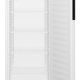 Liebherr MRFvc 3501-20 Frigorifero ad armadio 250 L Libera installazione C 4