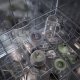 Electrolux E7CB1-6FGM 0,6 L Frullatore da tavolo 900 W Verde 8