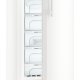 Liebherr GN 3835-21 Congelatore verticale Libera installazione 221 L C Bianco 6