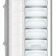 Liebherr SGNes 4375 Congelatore verticale Libera installazione 277 L D Acciaio inox 6