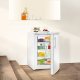 Liebherr GP 1496 Premium Congelatore verticale Superficie piana 103 L C Bianco 4