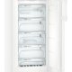 Liebherr GN 2835 Comfort Congelatore verticale Libera installazione 162 L E Bianco 5