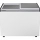 Liebherr EFE 3000 Congelatore per gelati 252 L Libera installazione C 3
