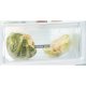 Whirlpool ART 6510 SF1 Da incasso 273 L F 4