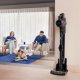Beko VRT95929VI scopa elettrica Aspirapolvere elettrica Batteria Secco EPA, MIF Senza sacchetto 0,9 L 550 W Antracite 21