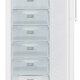 Liebherr GNw 1660-7 Congelatore verticale Libera installazione 231 L F Bianco 5