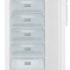 Liebherr GNw 1860-8 Congelatore verticale Libera installazione 268 L F Bianco 3