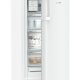 Liebherr FNd 4254 Prime Congelatore verticale Libera installazione 160 L D Bianco 3