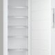 Miele FN 4874 C Congelatore verticale Libera installazione 278 L Bianco 4