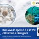 Samsung Lavatrice BESPOKE AI™ QuickDrive™ 11Kg WW11BB944DGM 7