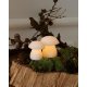 Sirius Home 13308 illuminazione decorativa Figura luminosa decorativa 2 lampadina(e) LED 3