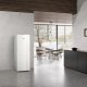 Miele FN 4844 C Congelatore verticale Libera installazione 239 L Bianco 8