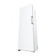 LG GFT61SWCSE congelatore Congelatore verticale Libera installazione 324 L E Bianco 13