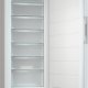 Miele FN 4879 C ws Congelatore verticale Libera installazione 363 L Bianco 4