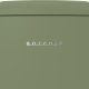 Gorenje ORB615DOL-L Libera installazione 247 L D Verde 18