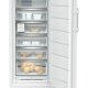 Liebherr FNc 7076 Peak Congelatore verticale Libera installazione 312 L C Bianco 4