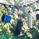 Sony SRS XB23 - Speaker bluetooth waterproof, cassa portatile con autonomia fino a 12 ore (Nero) 8