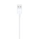 Apple Cavo da Lightning a USB (1 m) 5