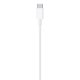 Apple Cavo da USB‑C a Lightning (1 m) 5