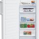 Beko FFP4671W congelatore Congelatore verticale Libera installazione 256 L E Bianco 4