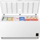 Gorenje FH50EAW Congelatore a pozzo Libera installazione 500 L E Bianco 3