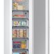 Samsung BRZ22720EWW Congelatore verticale Da incasso 218 L E Bianco 6
