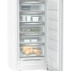 Liebherr FNd 6625 Plus NoFrost Congelatore verticale Libera installazione 260 L D Bianco 3