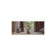 Electrolux Aspirap. A Filo Traini Con Sacco EB51C1DB 21