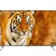 Hitachi 49HG6W69I TV Hospitality 124,5 cm (49
