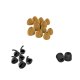 Klipsch T5 II Auricolare Wireless In-ear Musica e Chiamate Bluetooth Nero 4