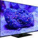 Hitachi Q55KA6360 TV 139,7 cm (55