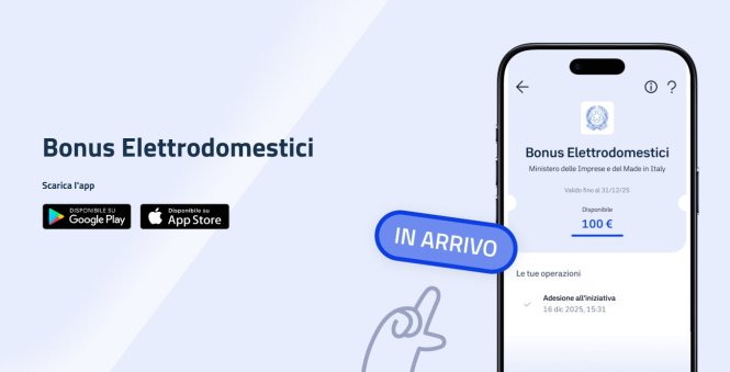 Bonus Elettrodomestici 2025